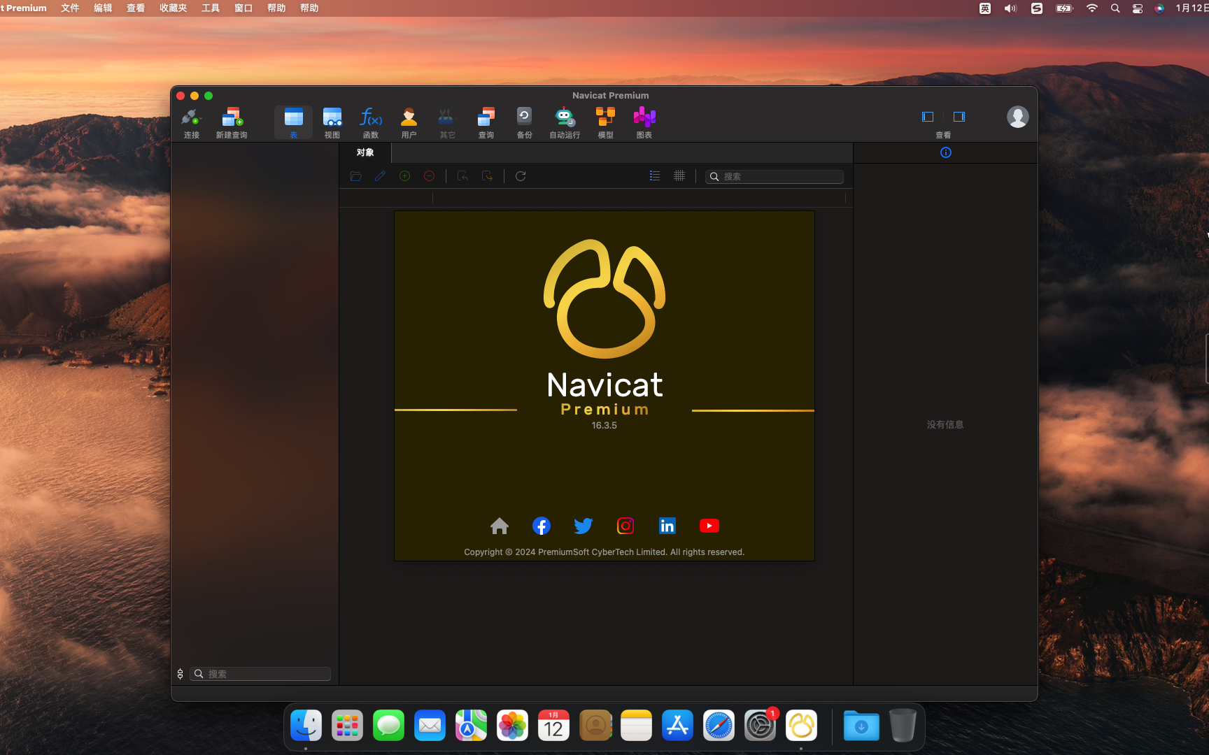 Navicat Premium 截图 2