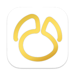 Navicat Premium 图标